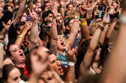 Fans at a concert