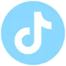 TikTok Icon