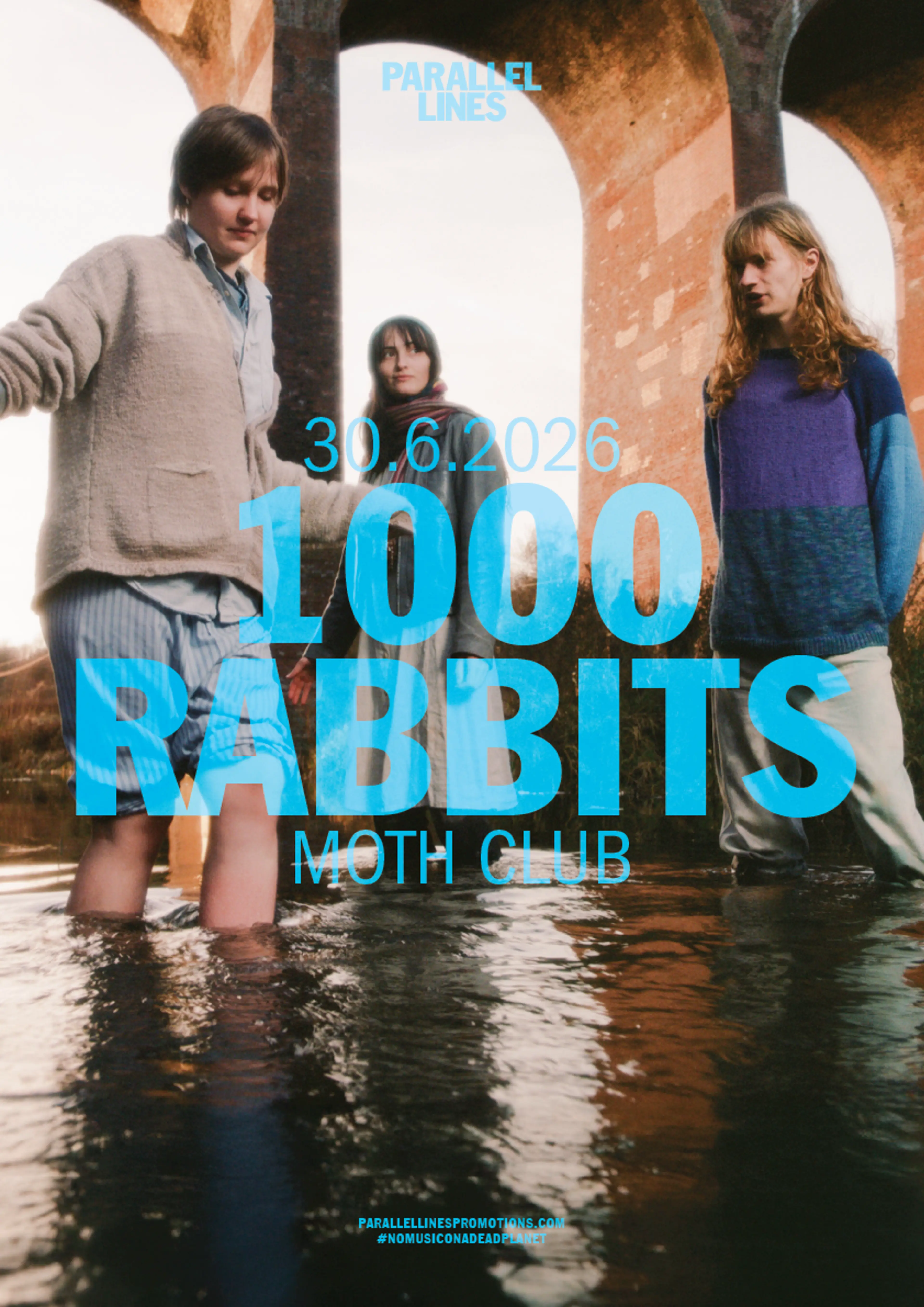 1000 Rabbits