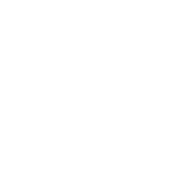 fundacion ocesa logo