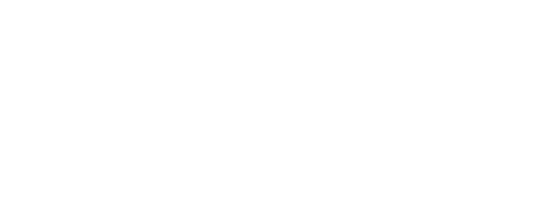 Zyn logo in white 