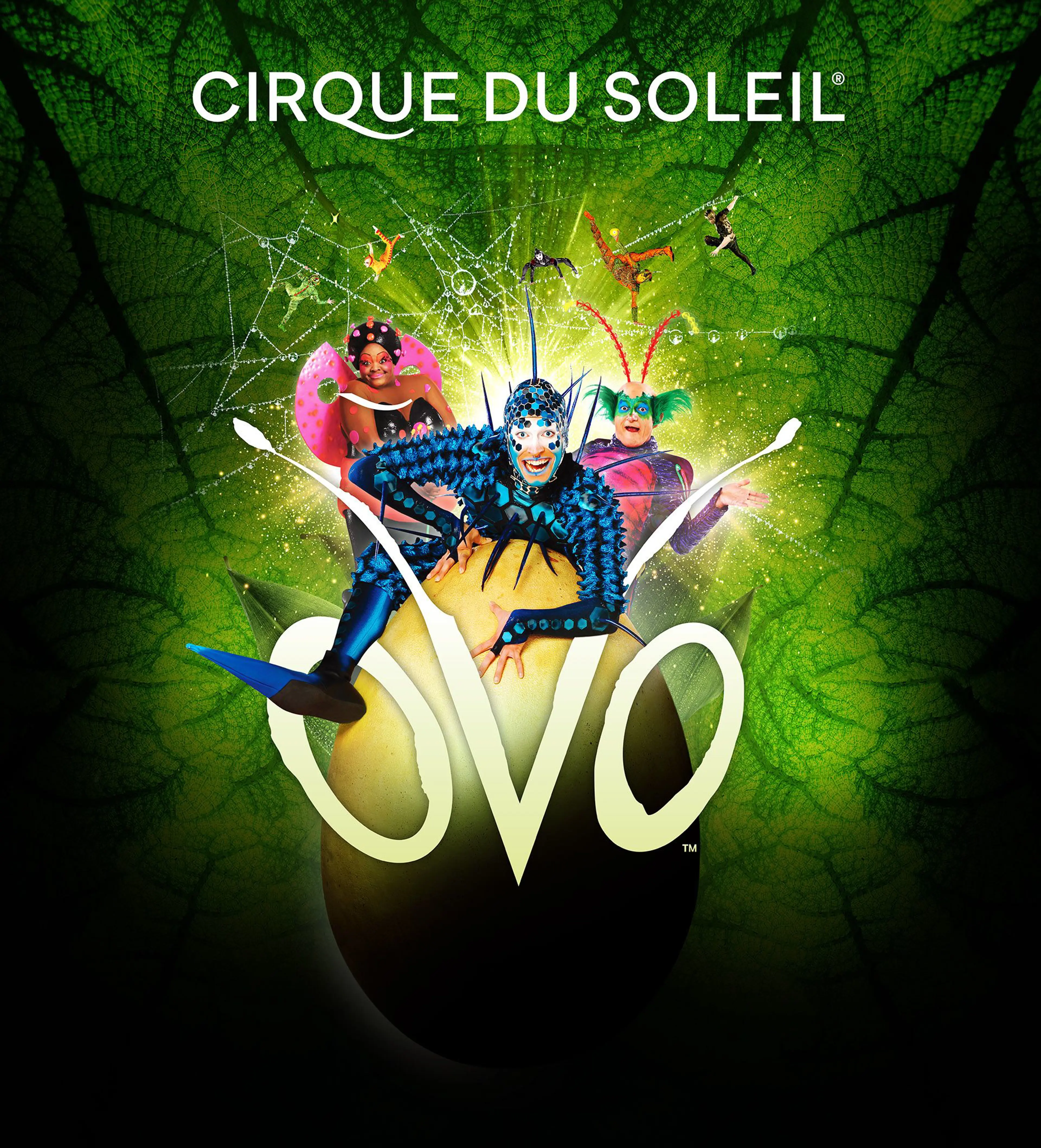 OVO CIRQUE DU SOLEIL