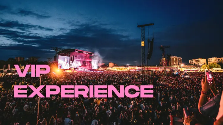 Vip Experience