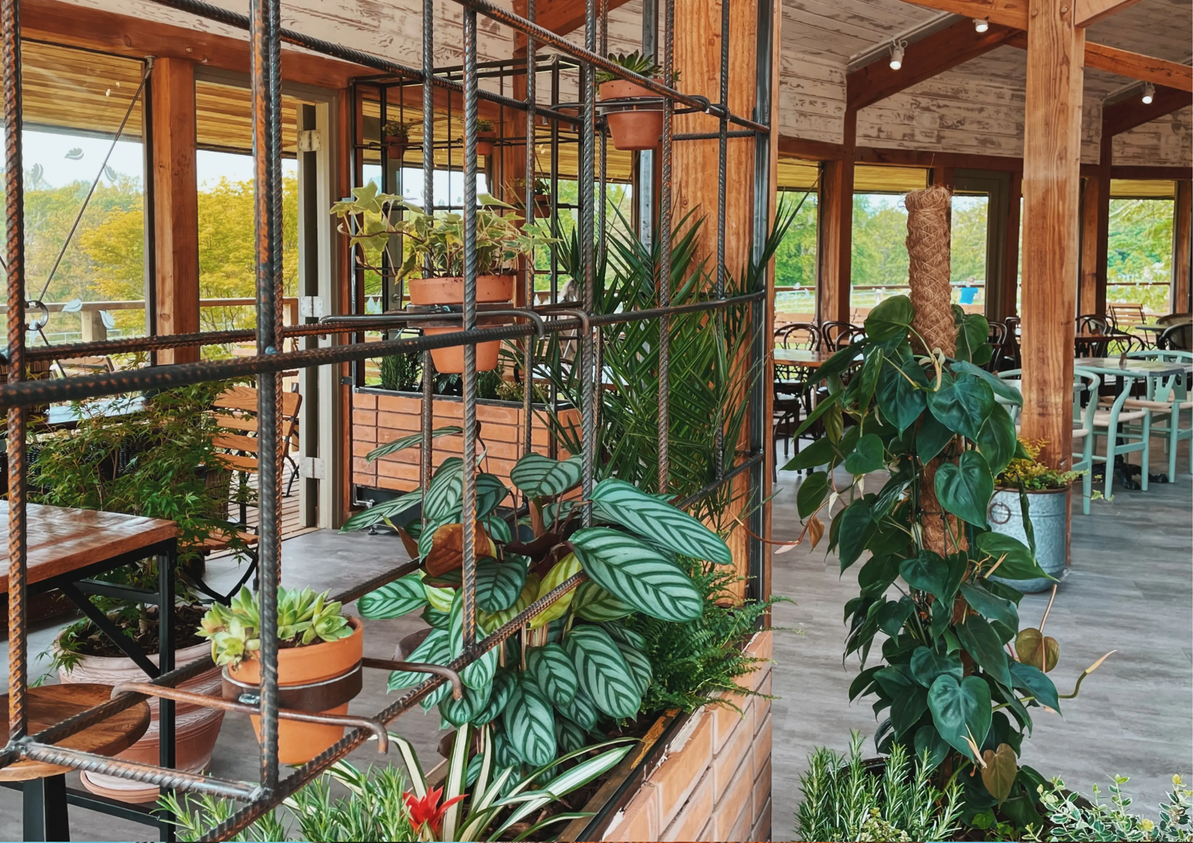 Cafe at Westonbirt Arboretum