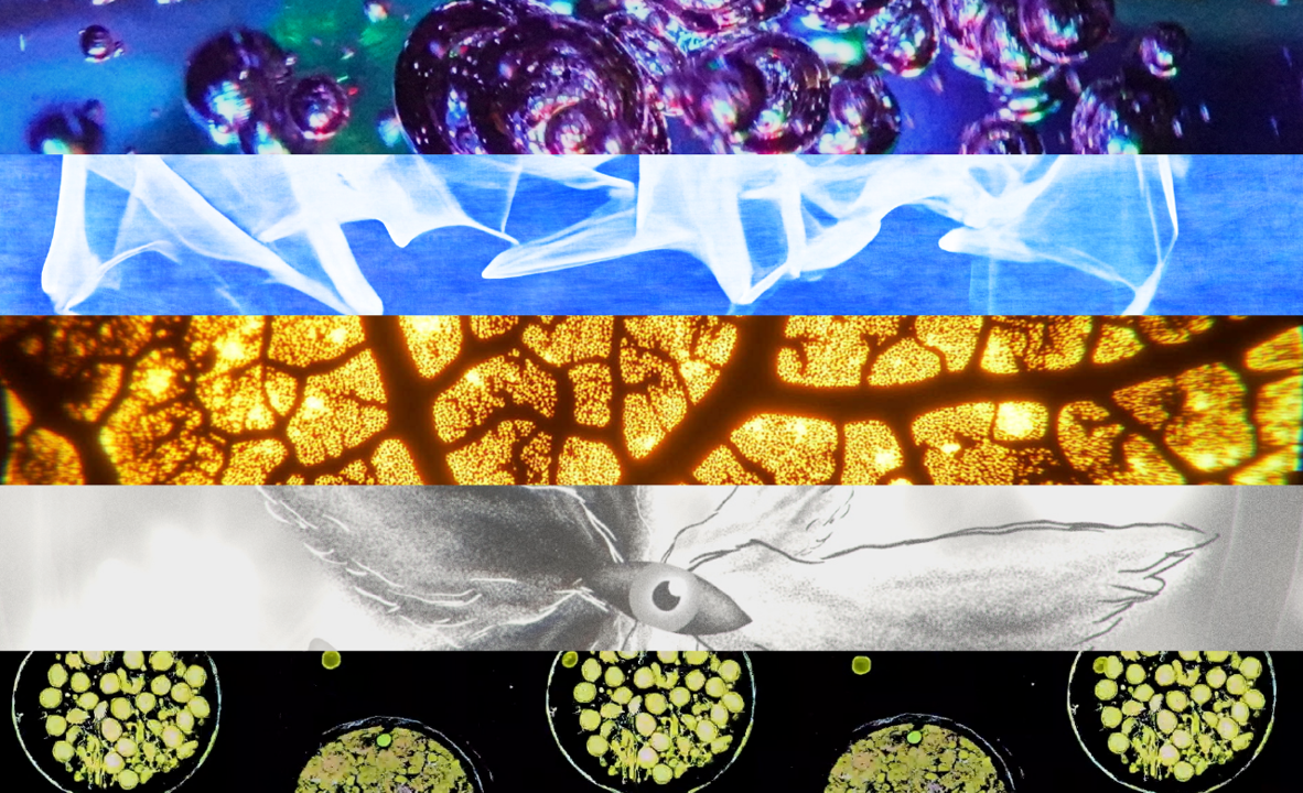 CF25 ARTS AND FAM_Relentless melt.png