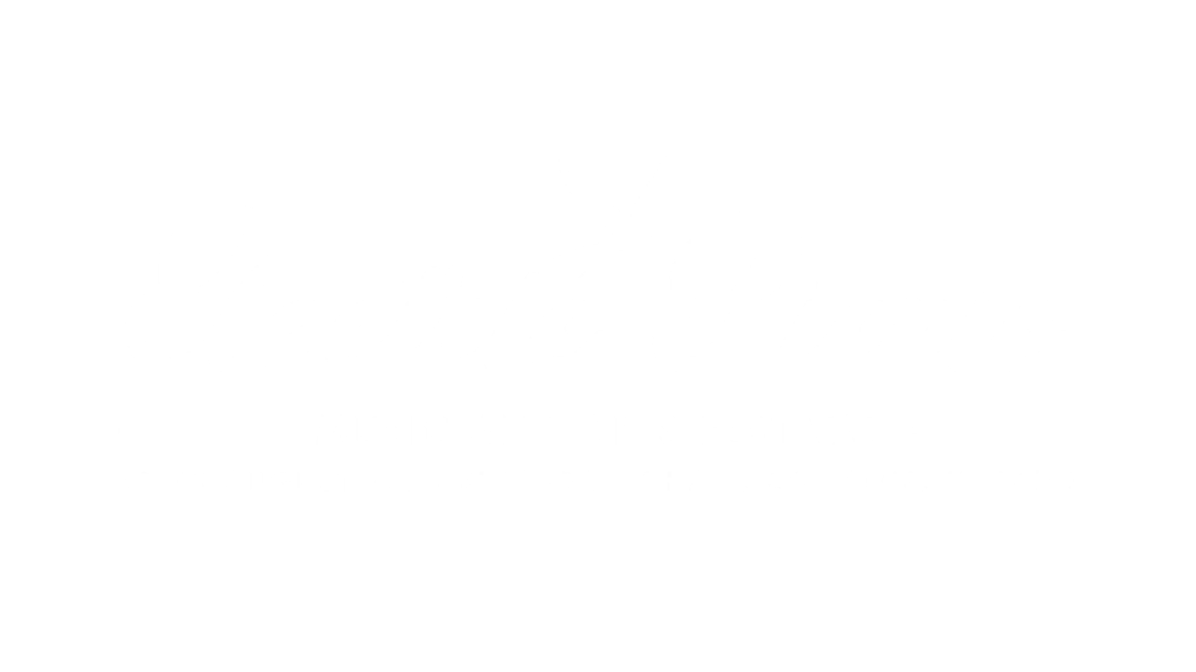 Electric Picnic Festival Logo