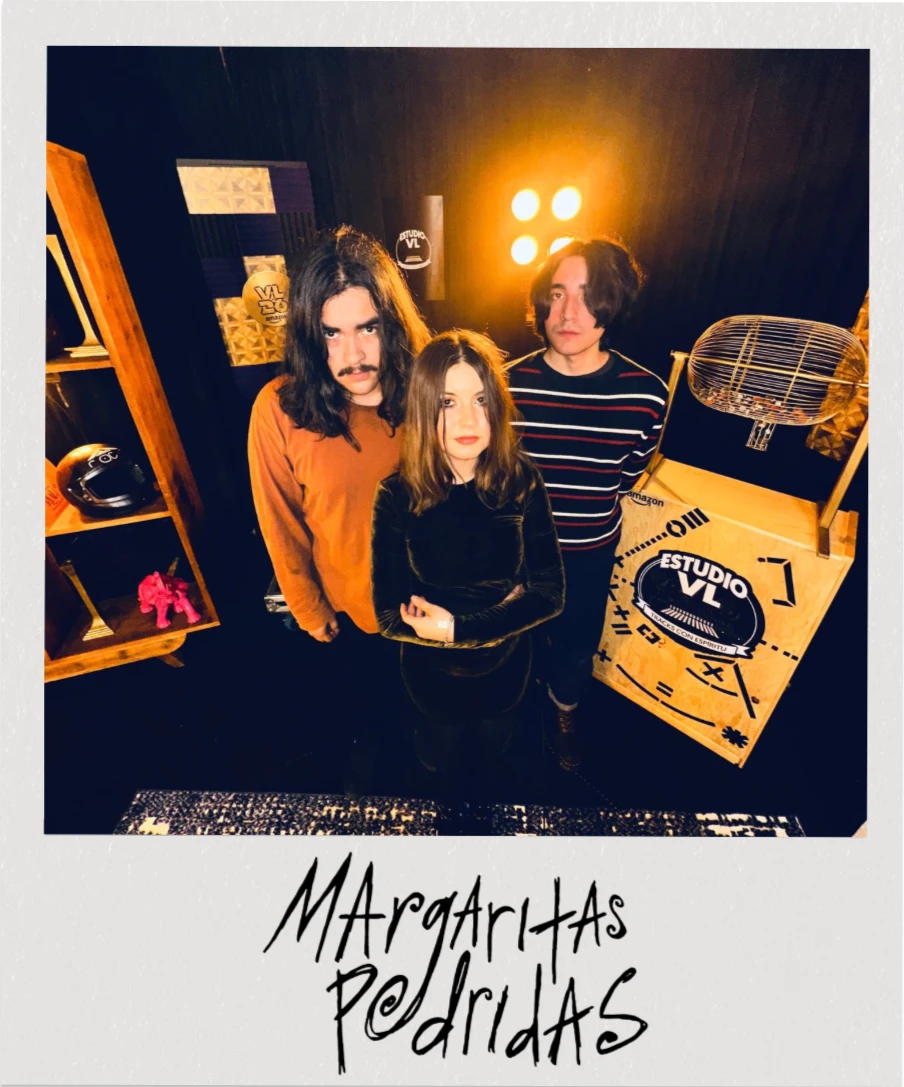 Margaritas podridas en Estudio VL