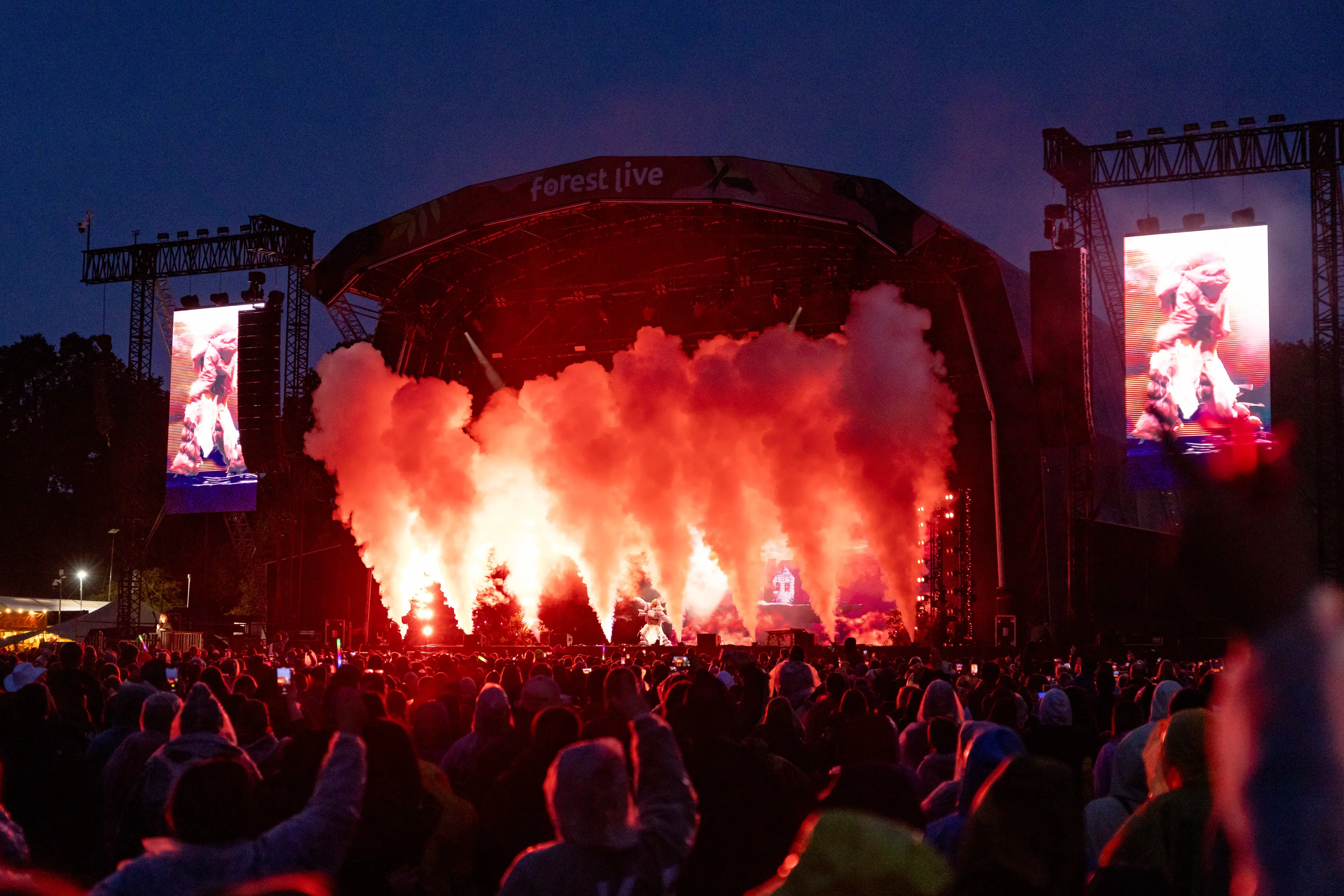 Anne-Marie at Forest Live