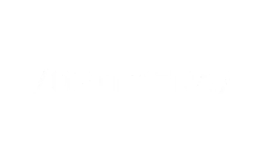 Logo Optimera