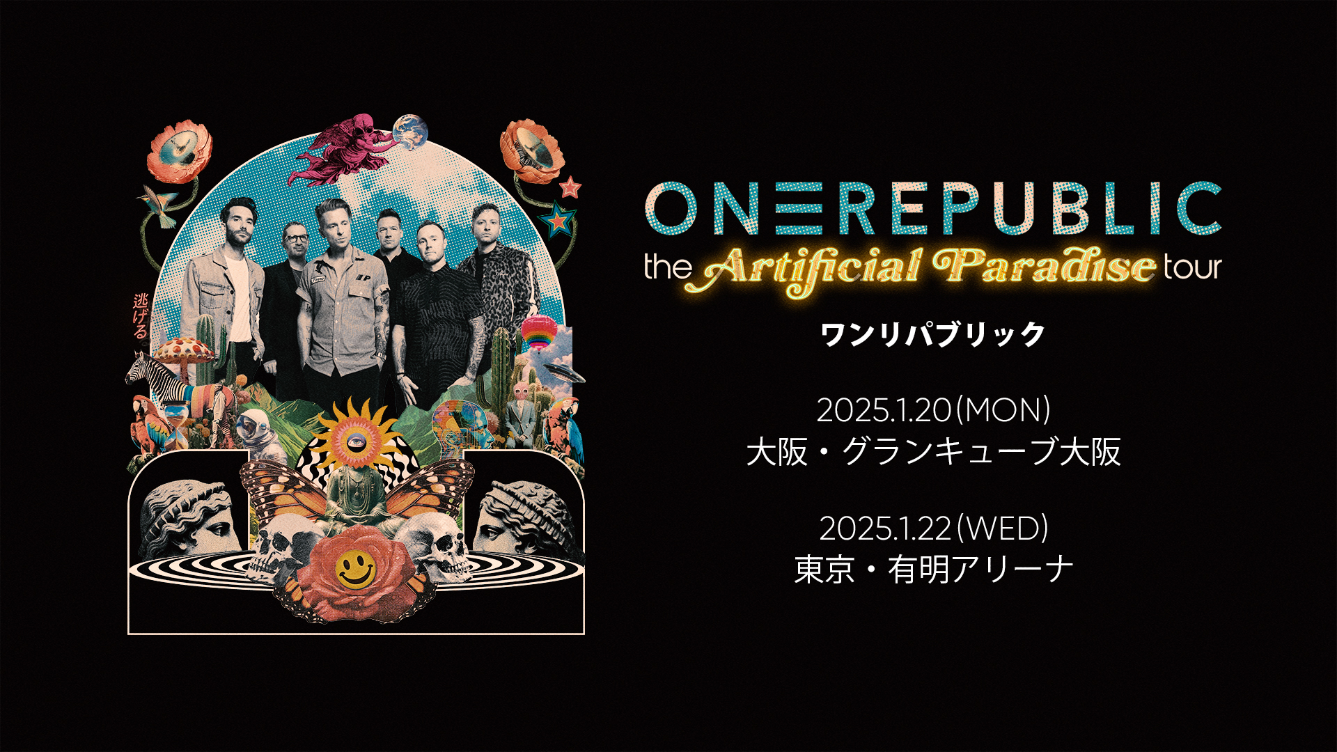 ONEREPUBLIC LIVE IN SOUTH AFRICA [VIDEO] NEW BLU-RAY DISC