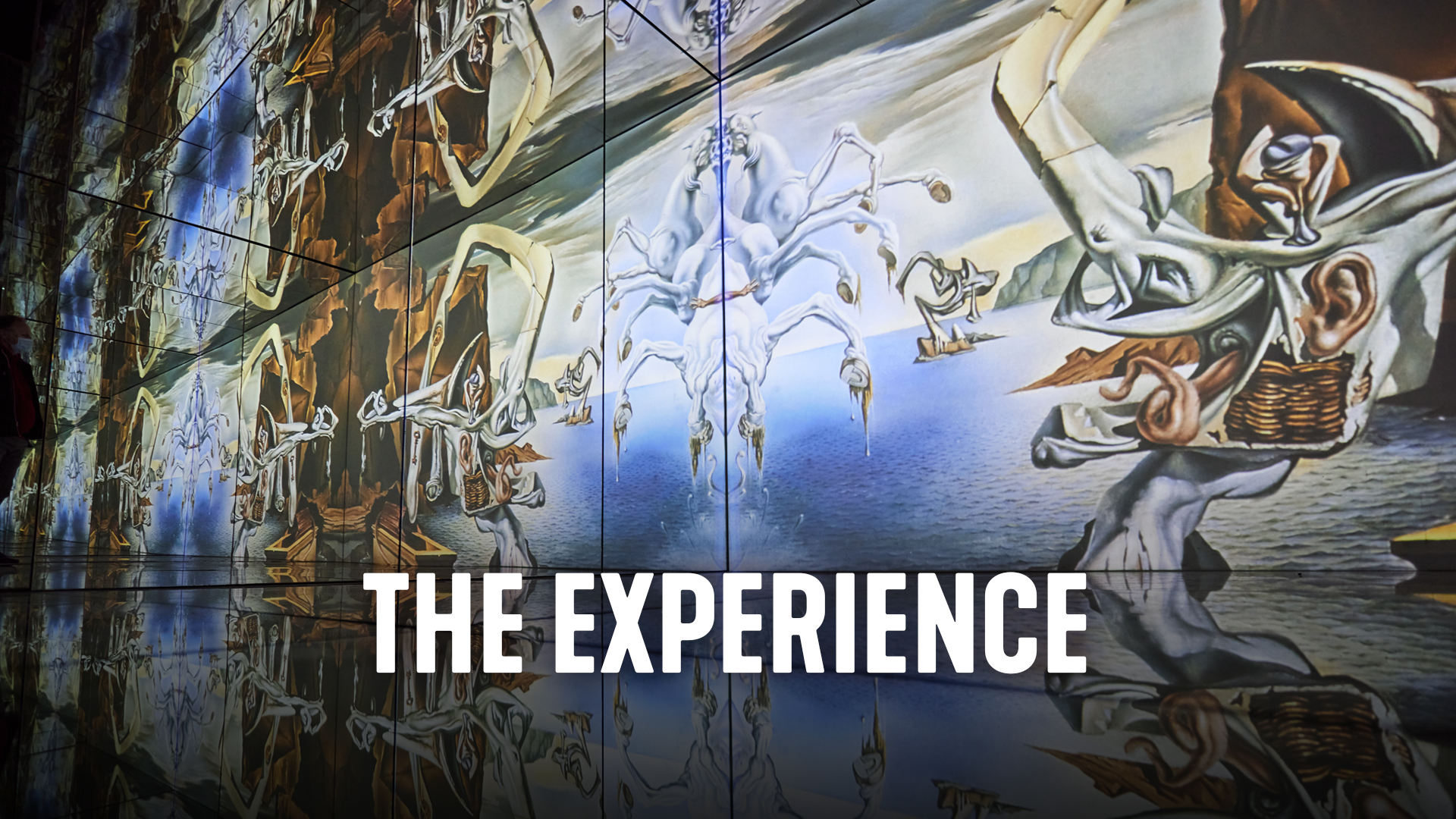 The Experience - Inside Dali - New Zealand