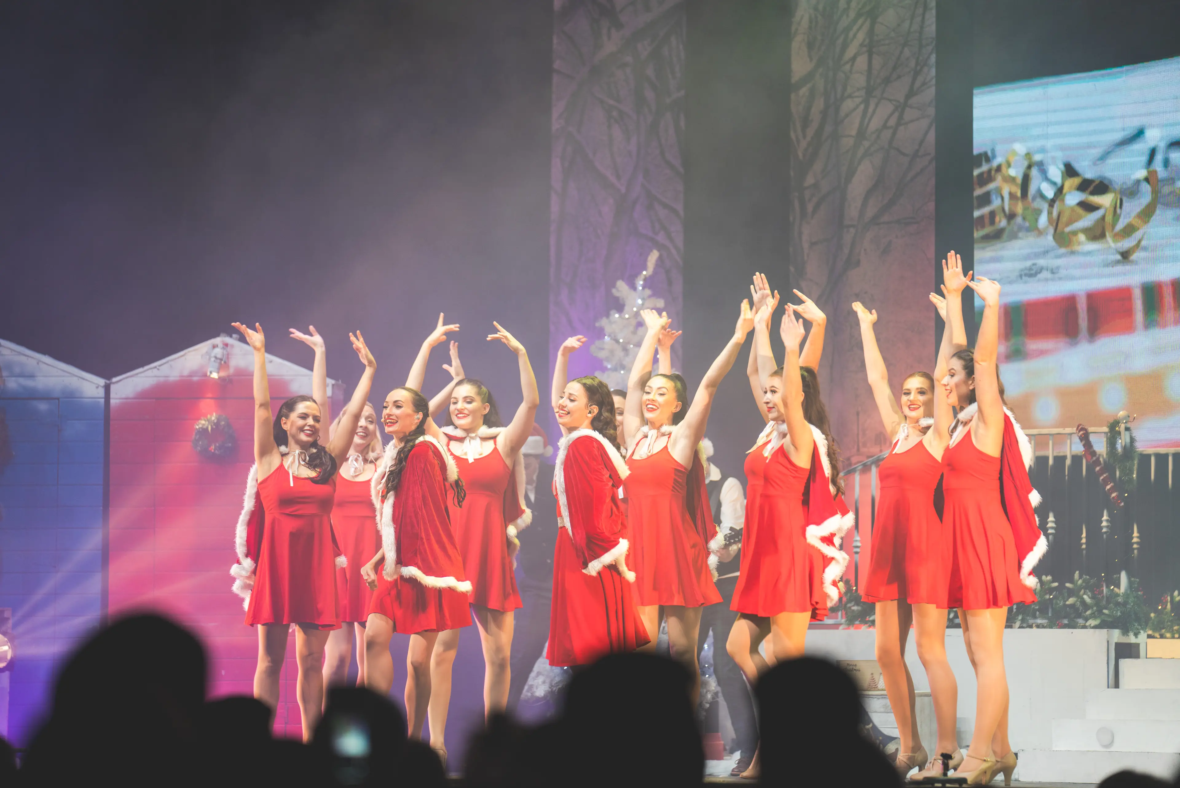 Fairytale of New York - Live Shot