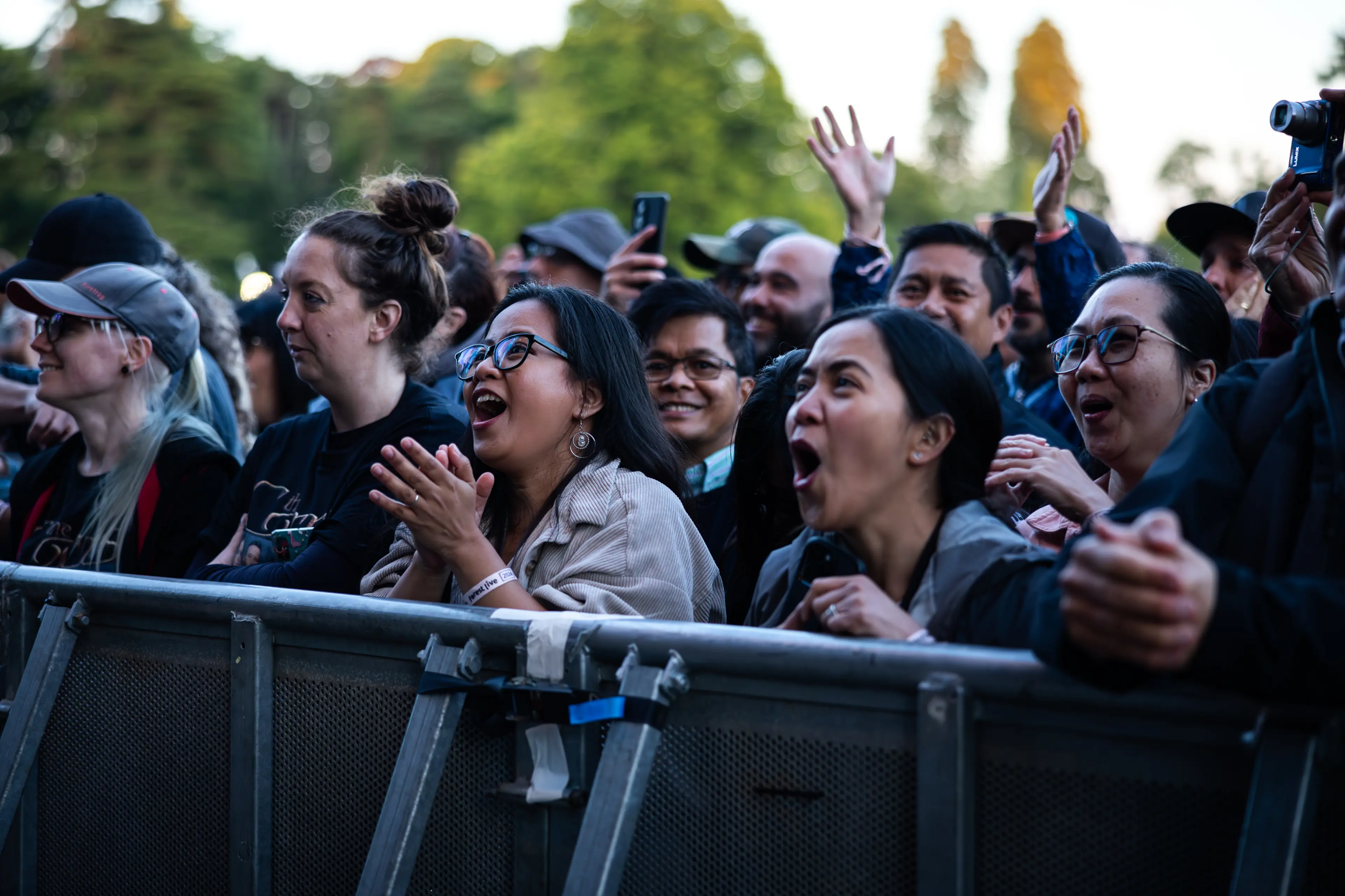 Crowd of people at Forest Live