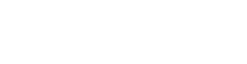 Noel Gallagher’s High Flying Birds Logo