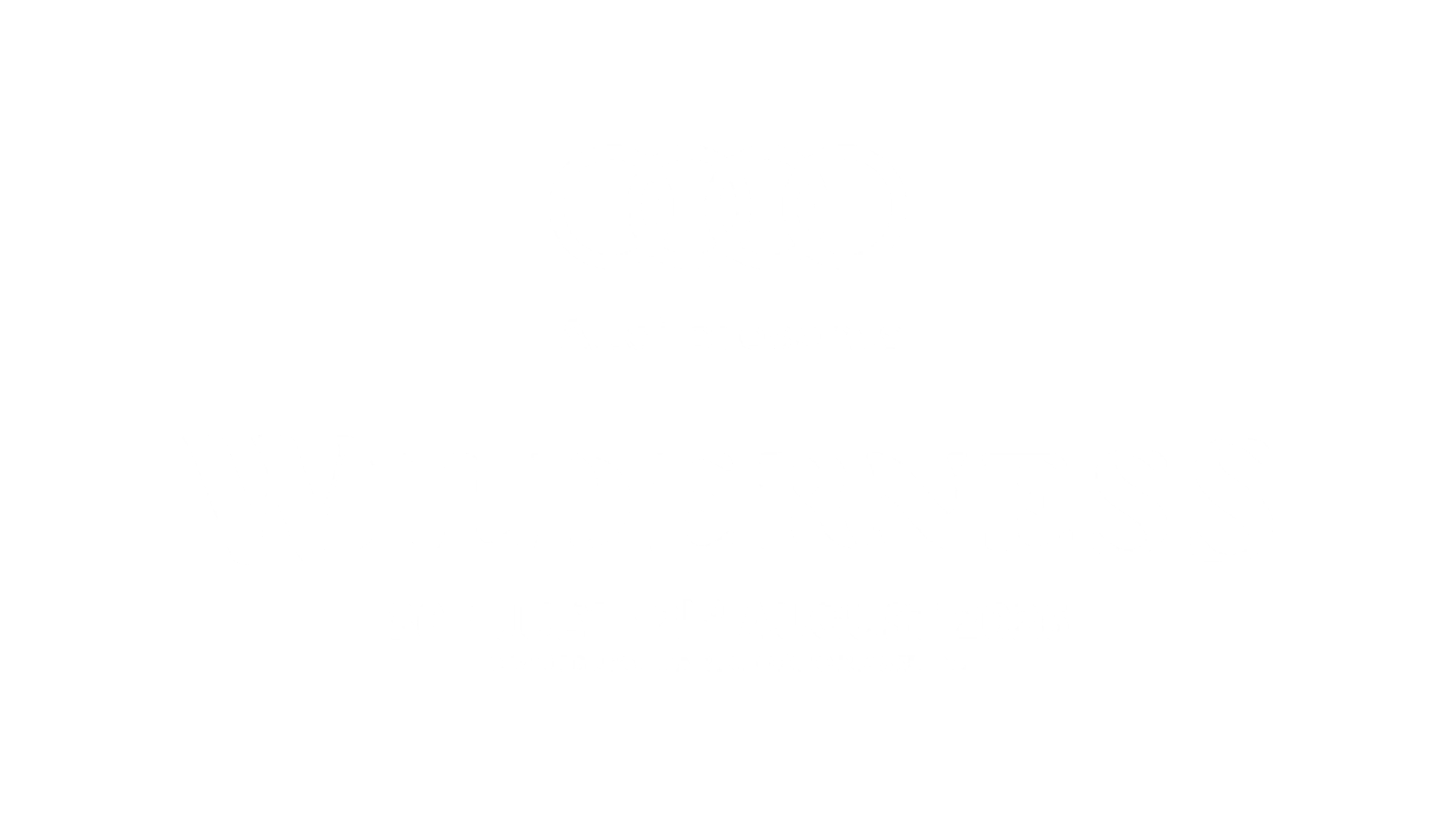 Wilderness Festival Logo