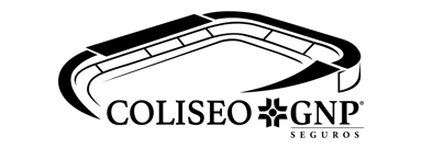 Site logo - www.coliseognpseguros.com - go to homepage