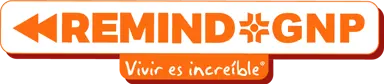 Site logo - www.remindgnp.mx - go to homepage