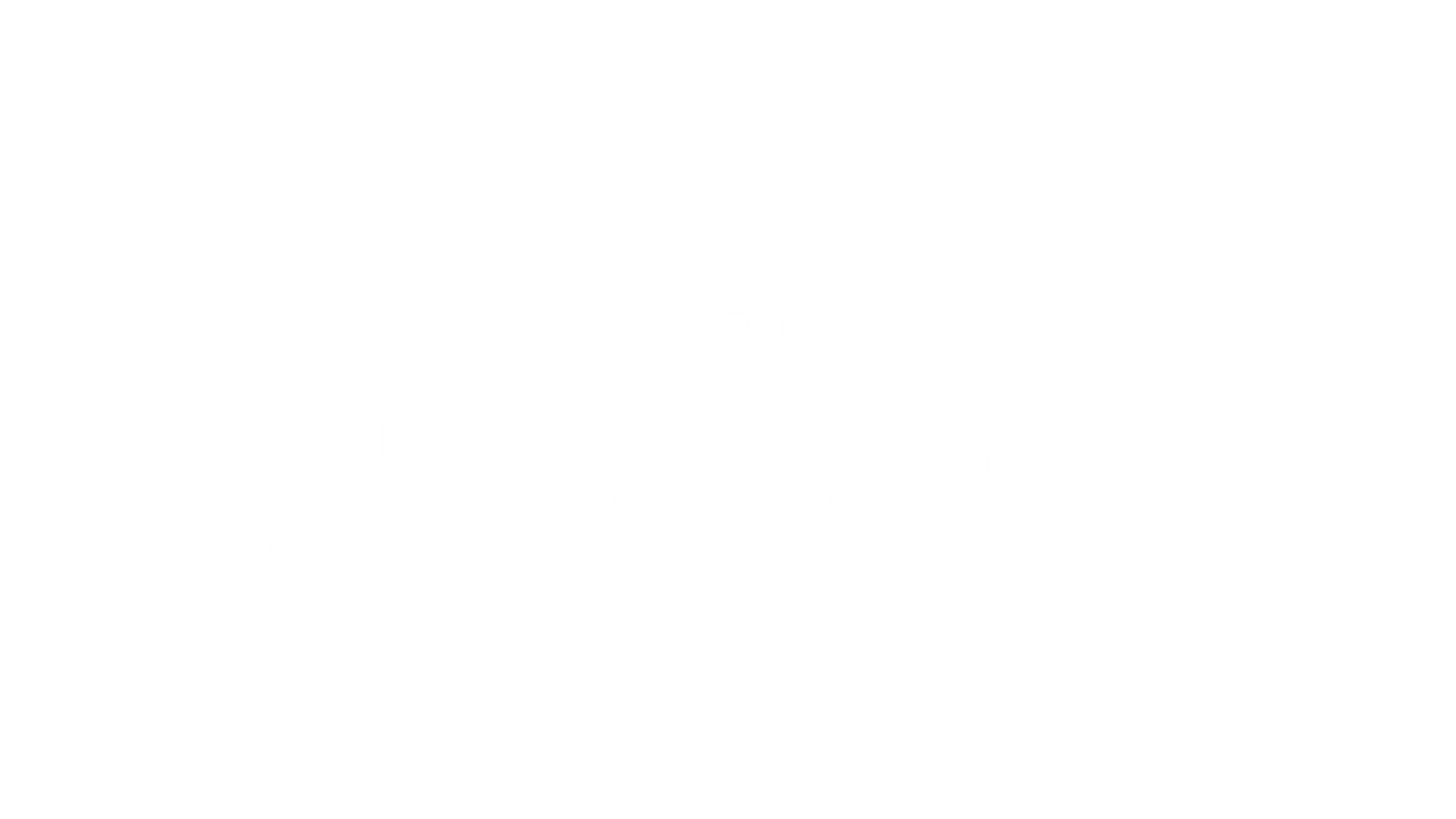 Wireless Festival Logo
