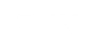 Zyn