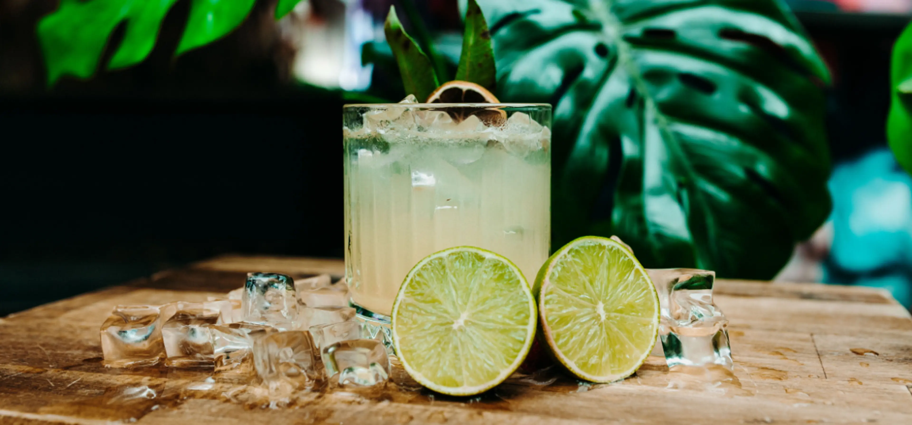 The Triffid Drinks