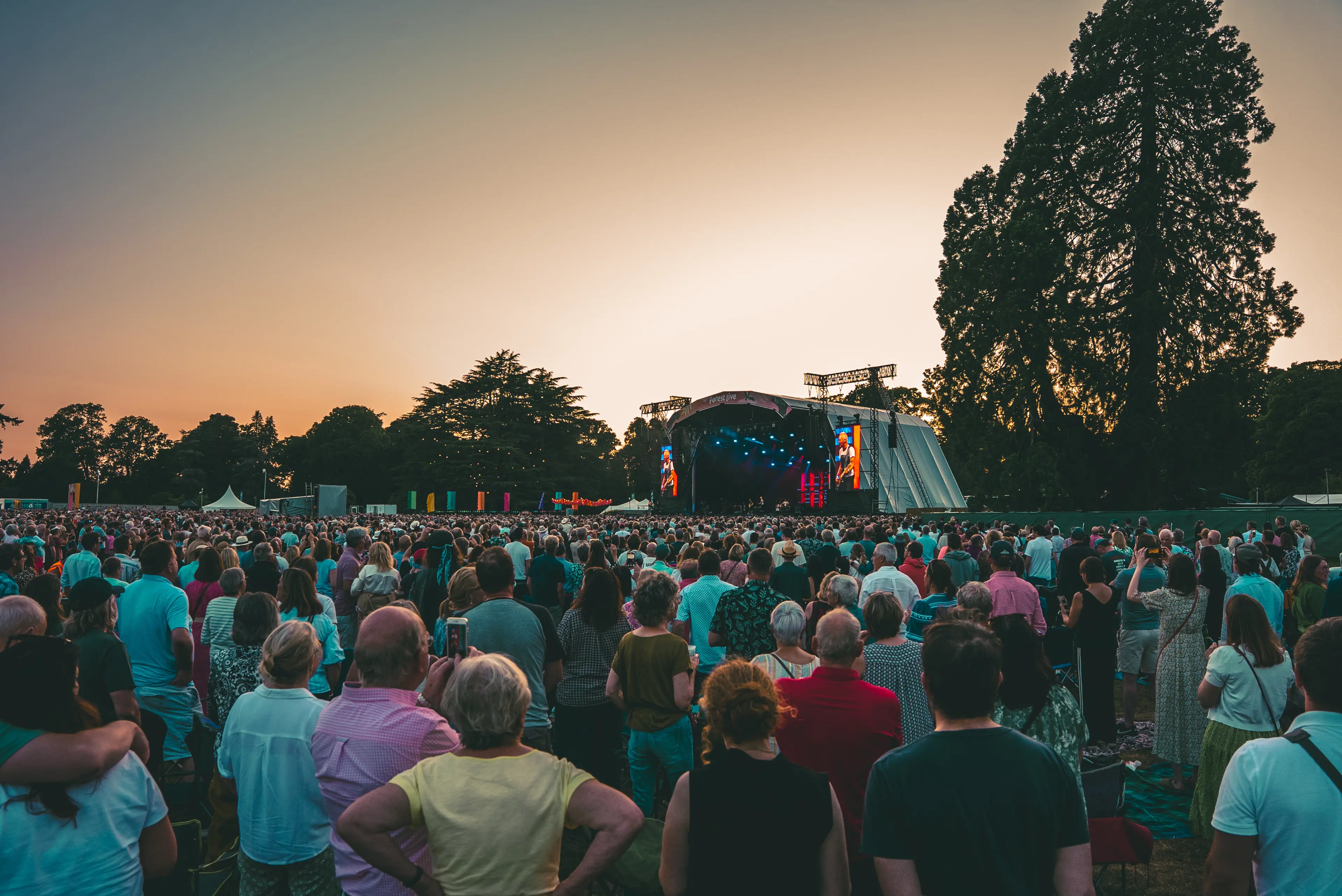 The sun setting at Westonbirt Arboretum during Forest Live