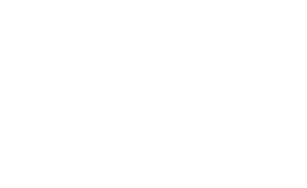 Fecha 29 de novmebre 2025 