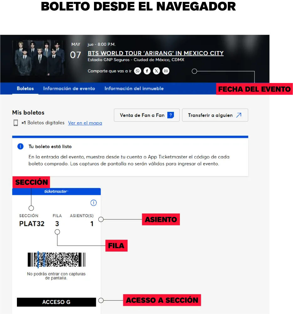 boleto_navegador.webp